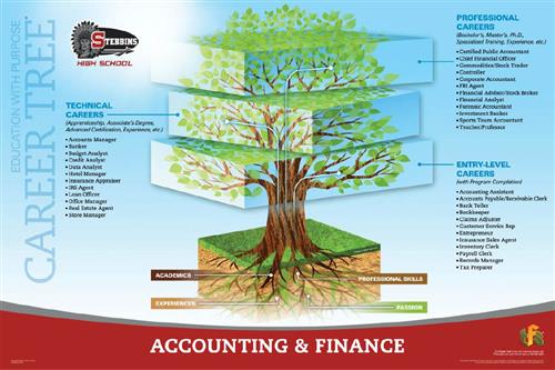 Accounting & Finance